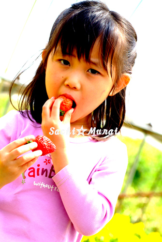 c0073387_0383599.jpg