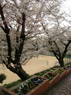 e0030587_18484052.jpg