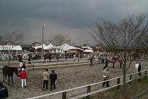 f0069890_23154432.jpg