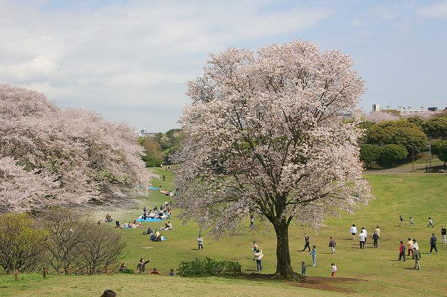 e0070891_18115182.jpg