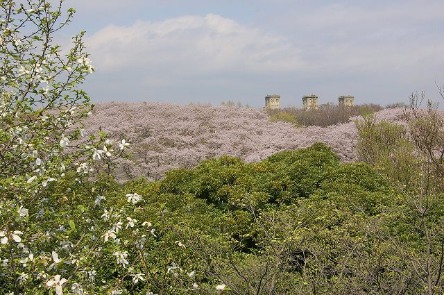 e0070891_1833372.jpg