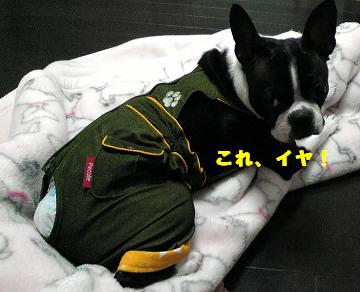 c0092097_23331461.jpg