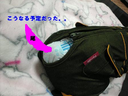 c0092097_23344767.jpg