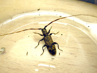 e0083097_018239.jpg