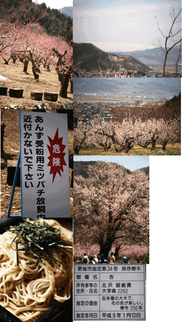 c0104599_13434994.gif