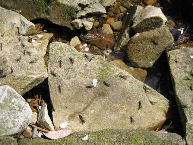 f0137499_11294215.jpg