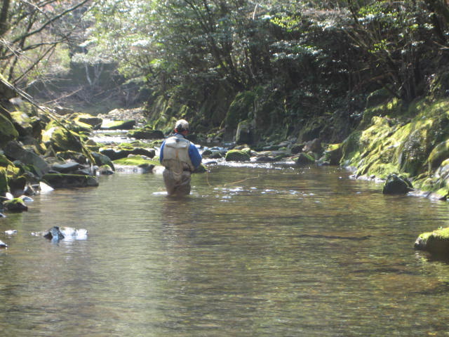 f0137499_1145330.jpg