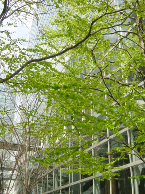b0083902_20351628.jpg