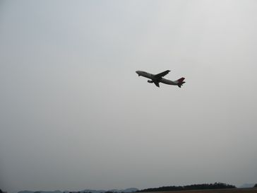 b0044804_1134996.jpg