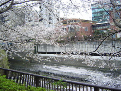 e0026704_19344787.jpg