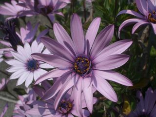 b0061107_23362551.jpg