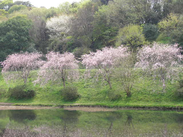 d0101409_21363281.jpg