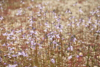 c0093710_2213490.jpg