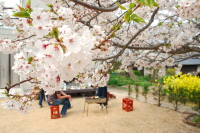 c0093710_221453.jpg