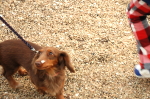 c0093710_2234342.jpg