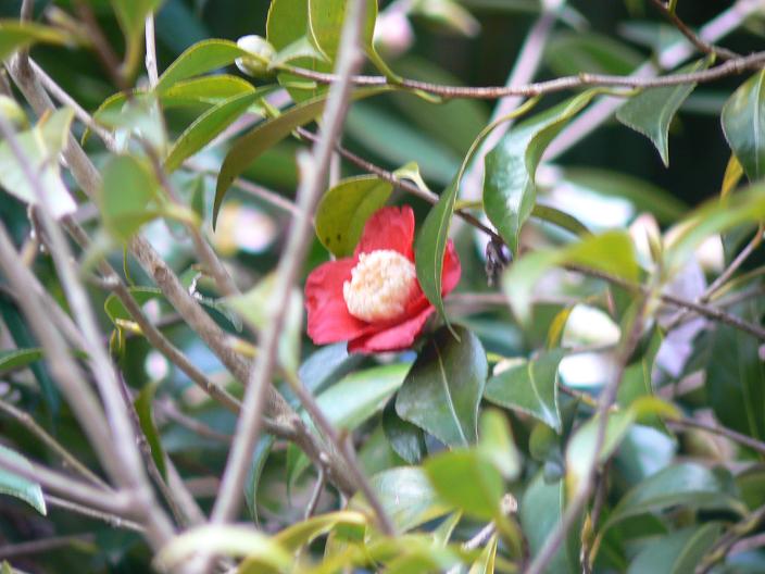 c0086014_21375939.jpg