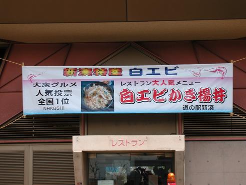 e0107416_174125.jpg