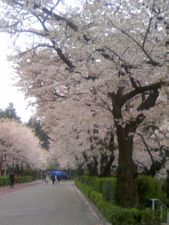 f0126417_2157055.jpg
