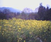 c0097620_22401445.jpg