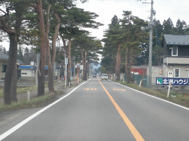 e0065830_0194218.jpg