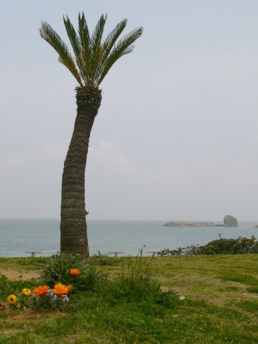 d0018131_536513.jpg