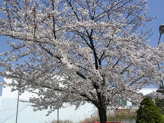 f0084232_0275548.jpg