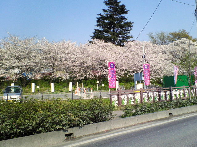 e0064133_12225.jpg