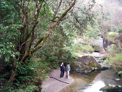 c0068639_17455246.jpg