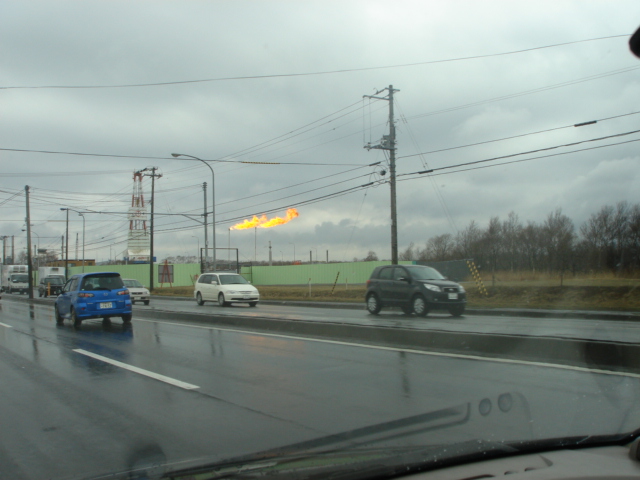 f0110439_144898.jpg
