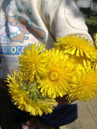 f0082141_20321976.jpg