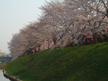 c0115145_11475460.jpg