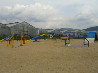 c0115145_1619763.jpg