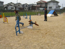 c0115145_16381399.jpg