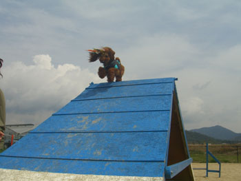 c0115145_16495887.jpg