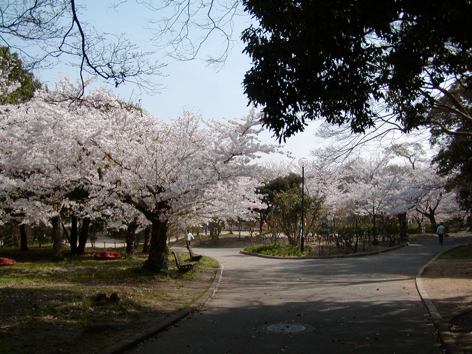 f0039446_1211859.jpg