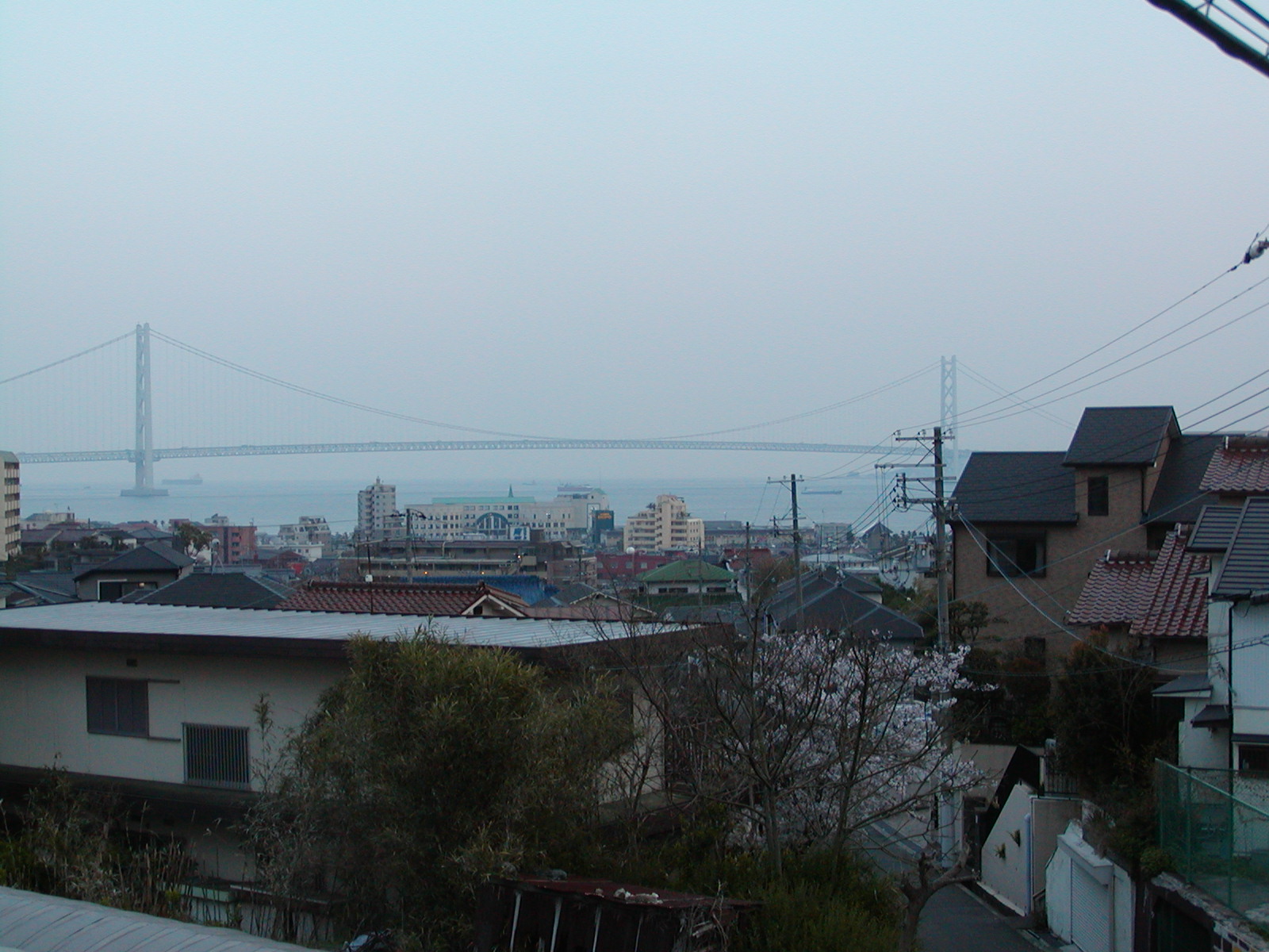 f0039446_1263227.jpg