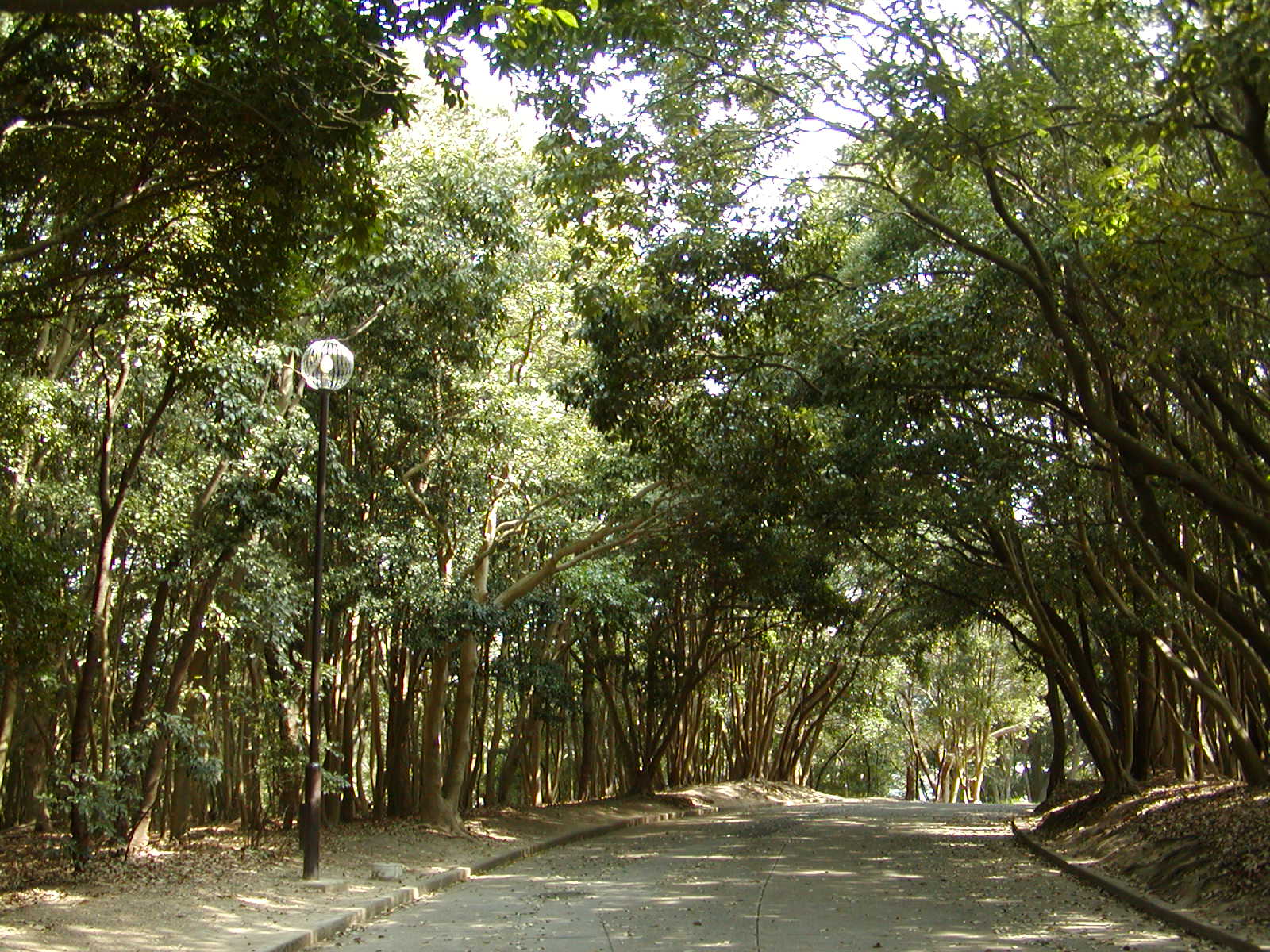 f0039446_1282465.jpg