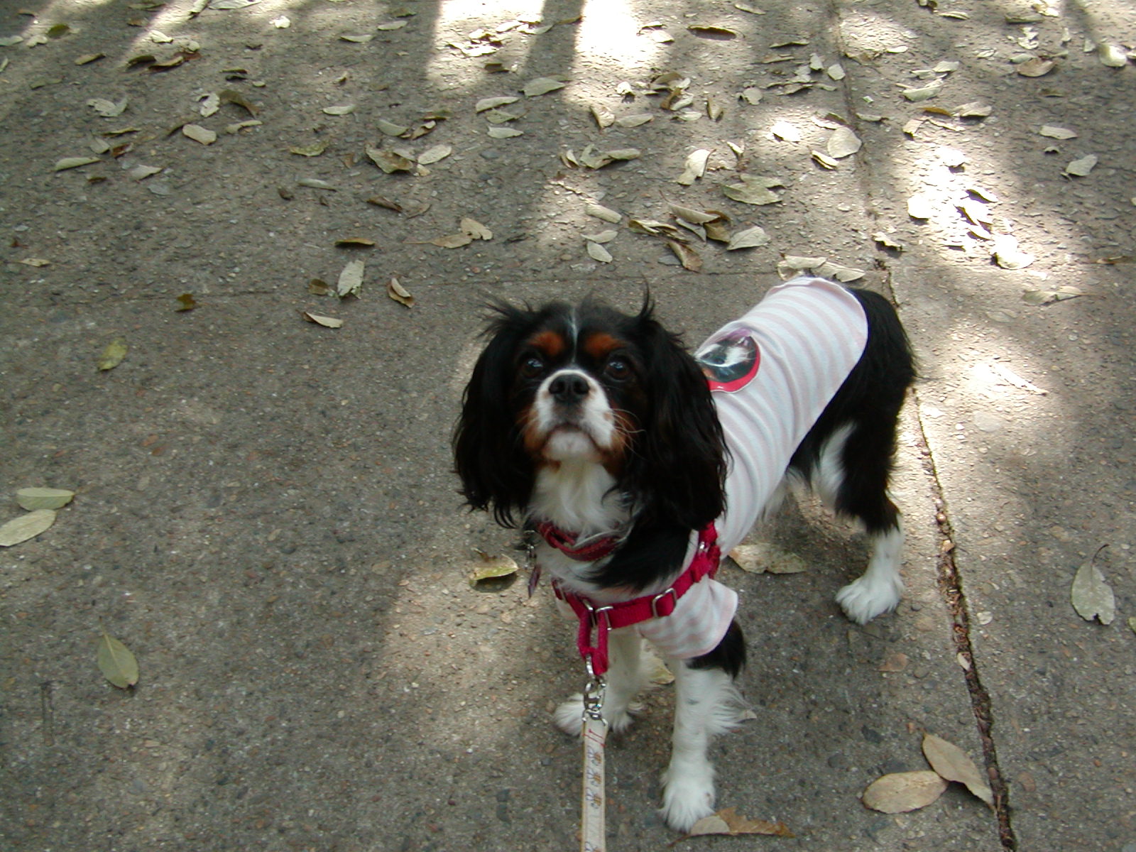 f0039446_1285748.jpg