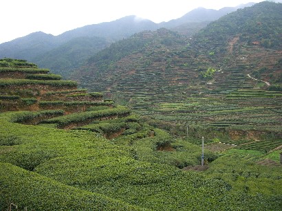 f0072846_0314351.jpg