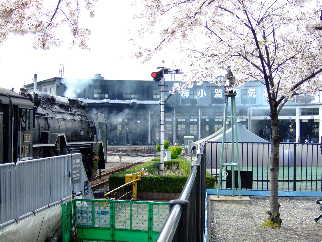 a0082347_20331282.jpg