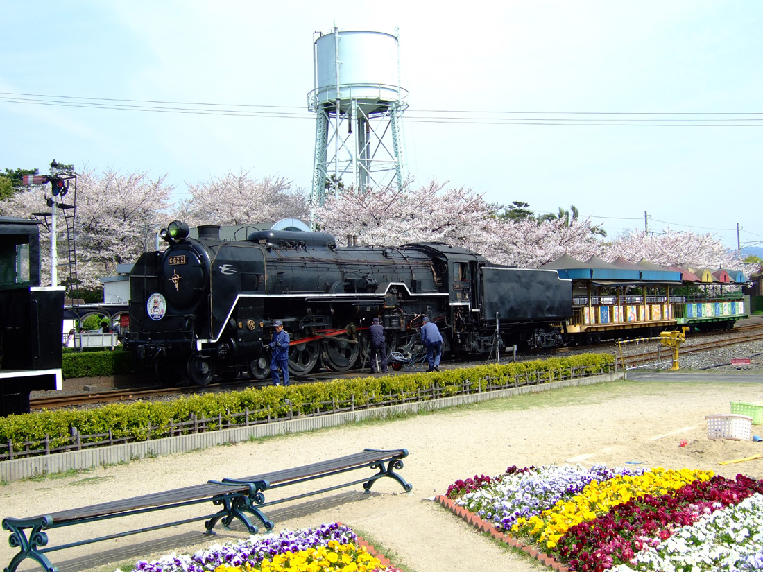 a0082347_2034569.jpg