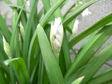 c0069048_01143.jpg