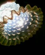 c0047449_2350097.jpg