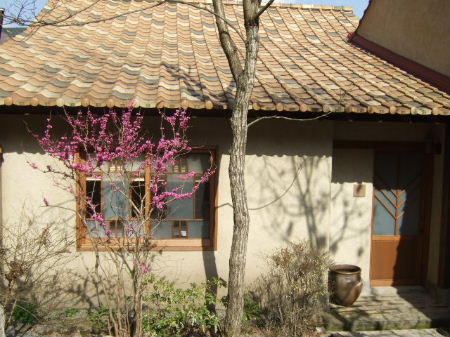 e0088654_22182847.jpg