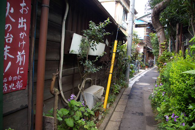 c0080357_2143595.jpg
