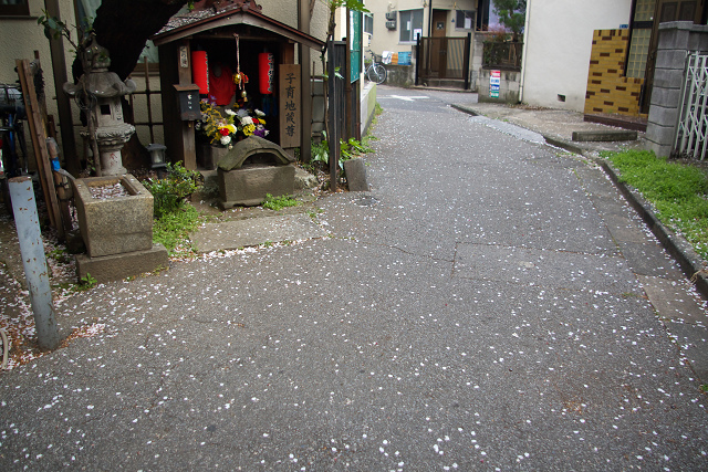 c0080357_215625.jpg