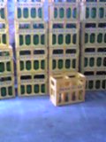 d0007957_22483924.jpg