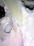 d0007957_22573241.jpg