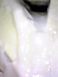 d0007957_22575183.jpg