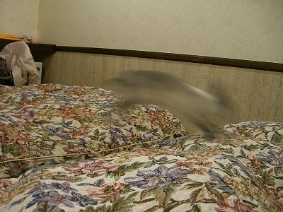 f0104057_2163650.jpg